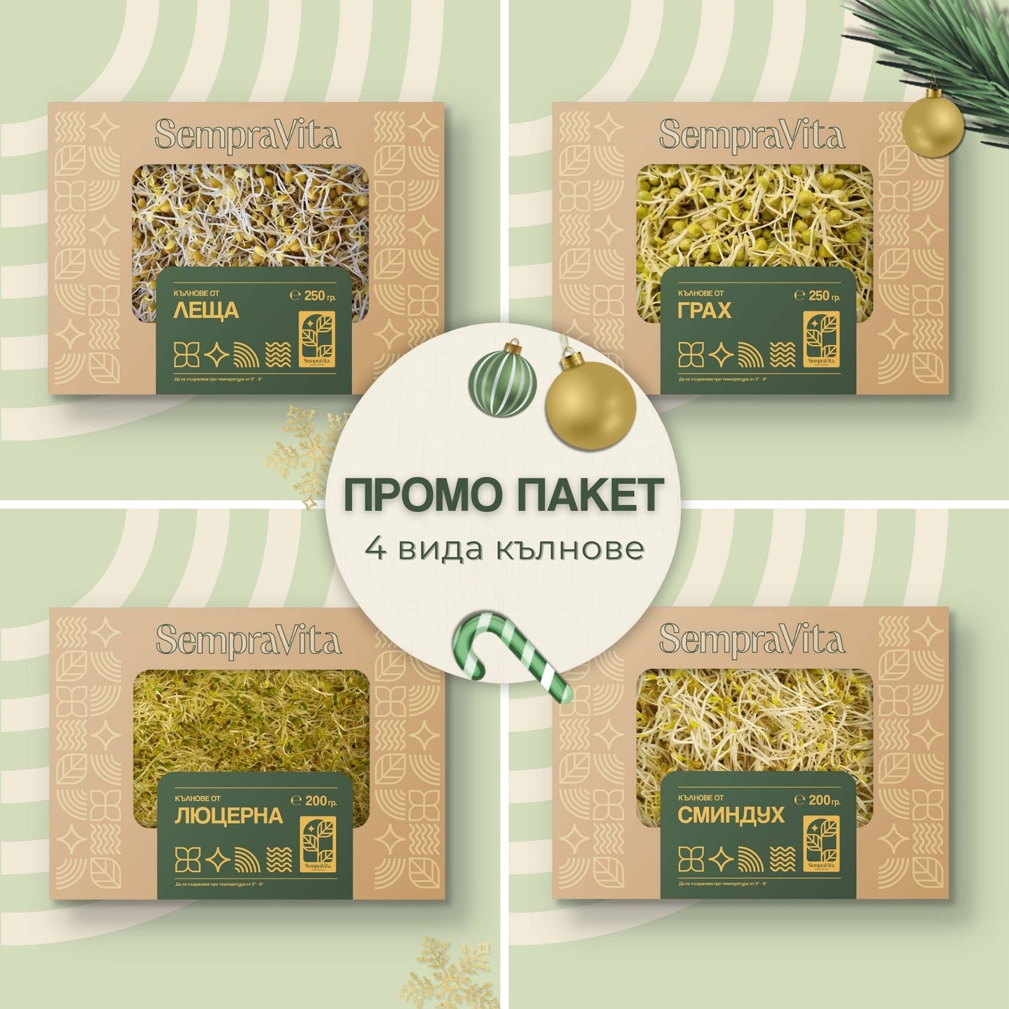 ПРОМО пакет - 4 вида кълнове