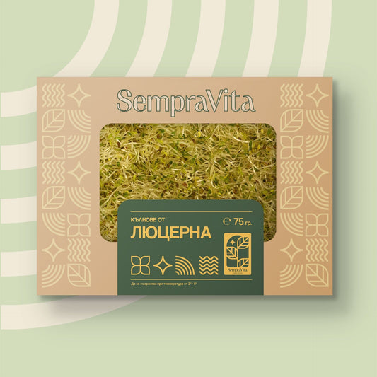 Кълнове от Люцерна