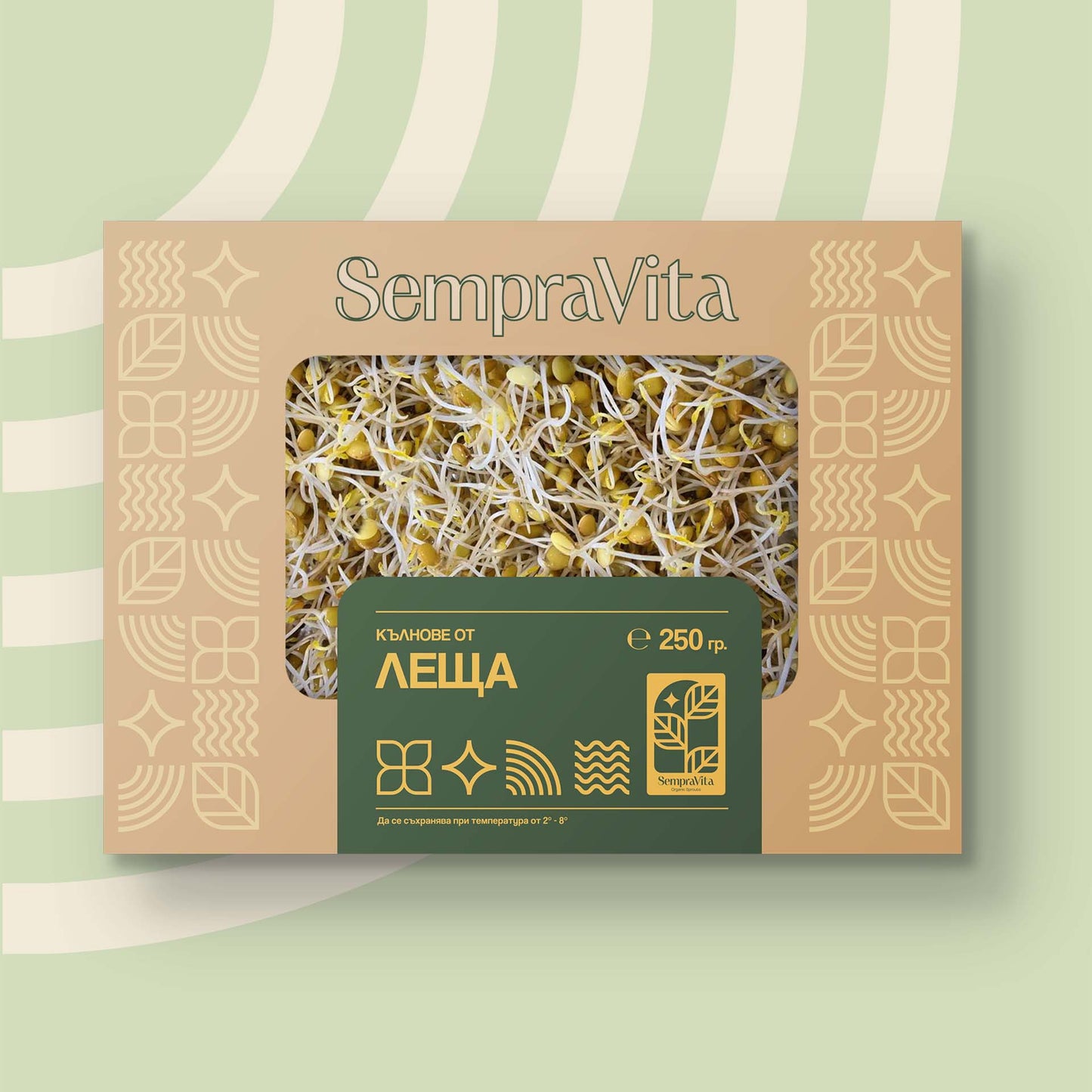 Кълнове от Леща