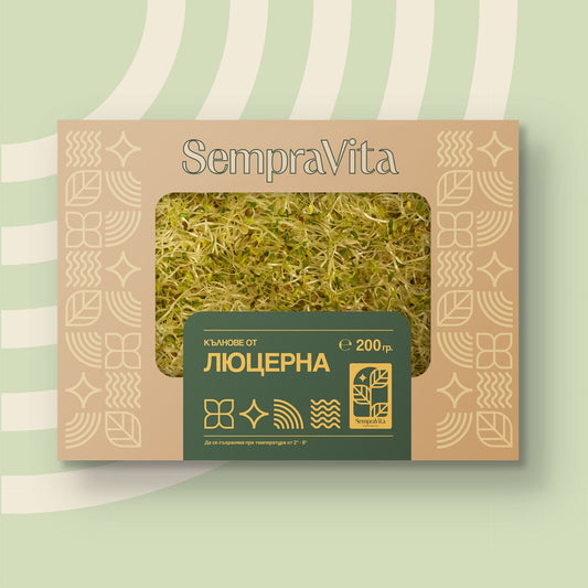 Люцерна