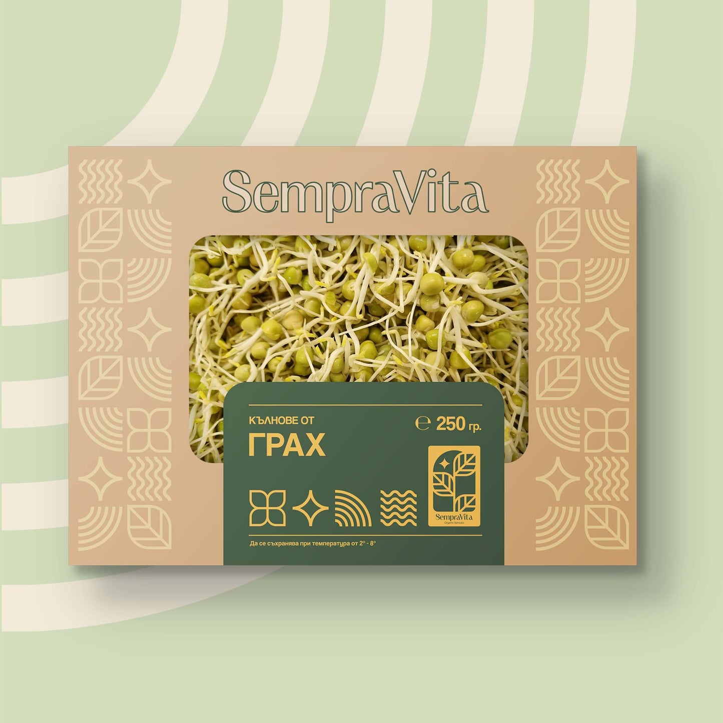 Кълнове от Грах